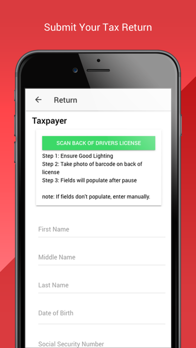 Precise Tax Service LLC Screenshot