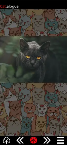 Game screenshot Cat.alogue mod apk