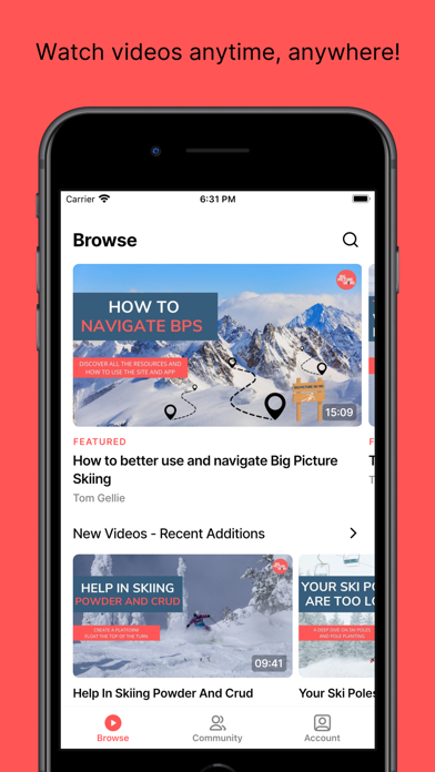 Big Picture Skiing Screenshot