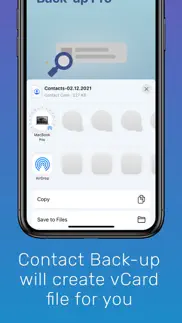 contact back-up iphone screenshot 4