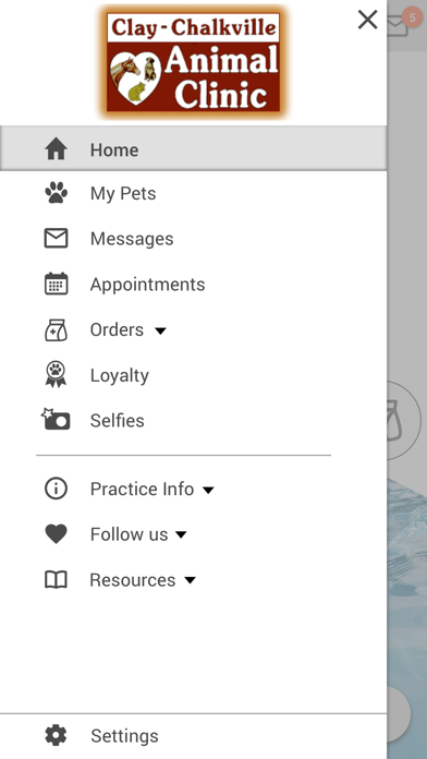 Clay Chalkville Animal Clinic Screenshot