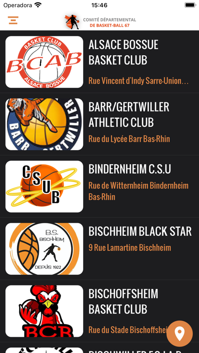 CD67 Basket Screenshot