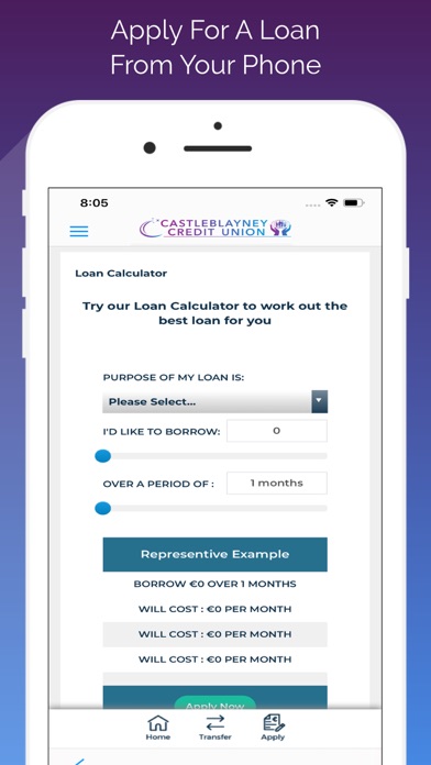 Castleblayney Credit Union Screenshot