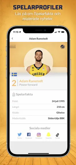 Game screenshot Team Sweden Basketball hack