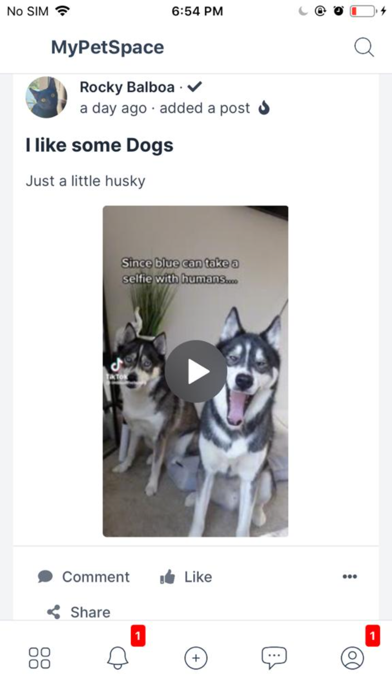 MyPetSpace Screenshot