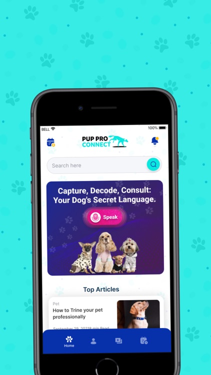 Pup Pro Connect & Dog Training
