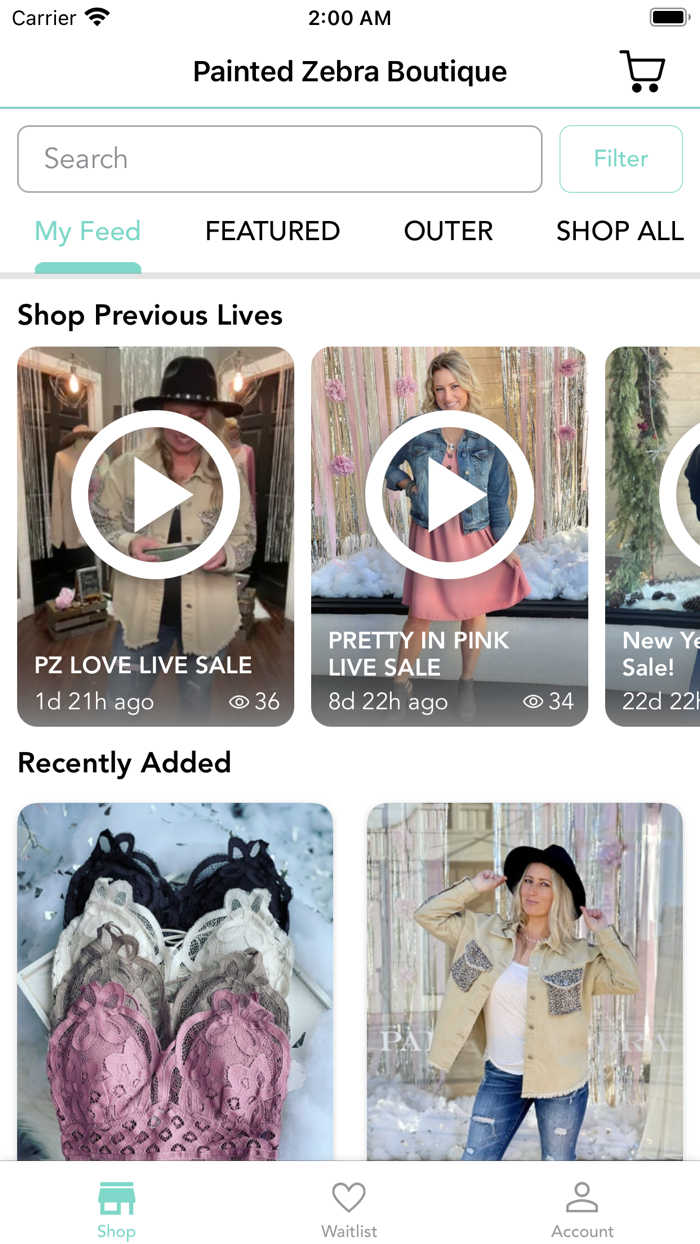 Painted Zebra Boutique