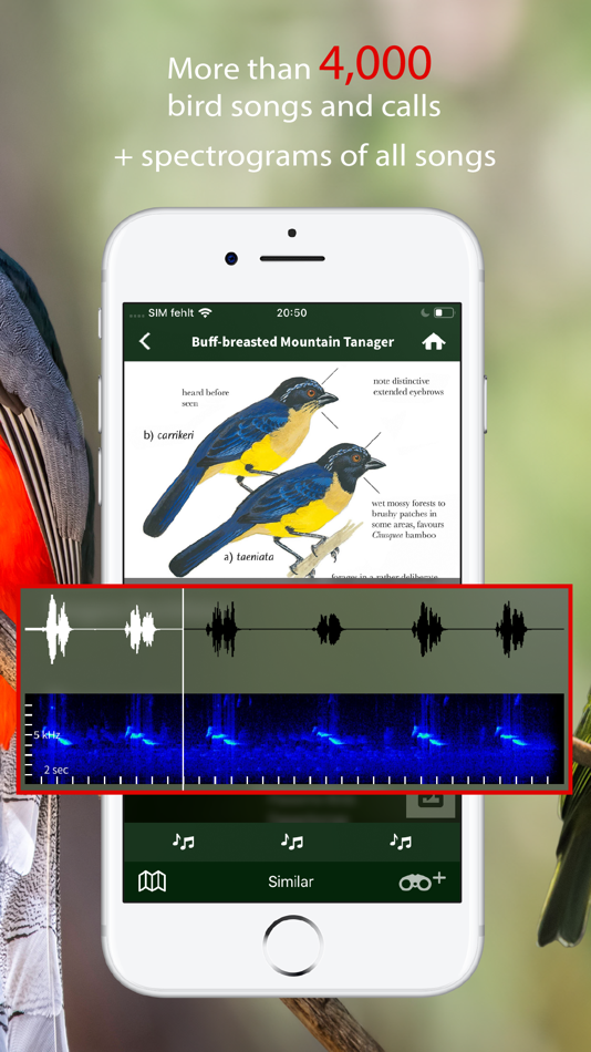 #4. All Birds Colombia field guide (iOS) Podle: Sunbird Images OHG