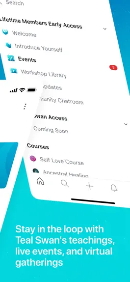 Game screenshot Teal Swan apk