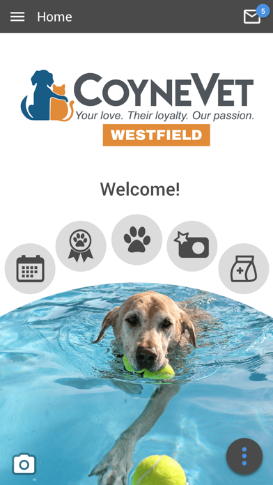 Coyne Vet Westfield Screenshot