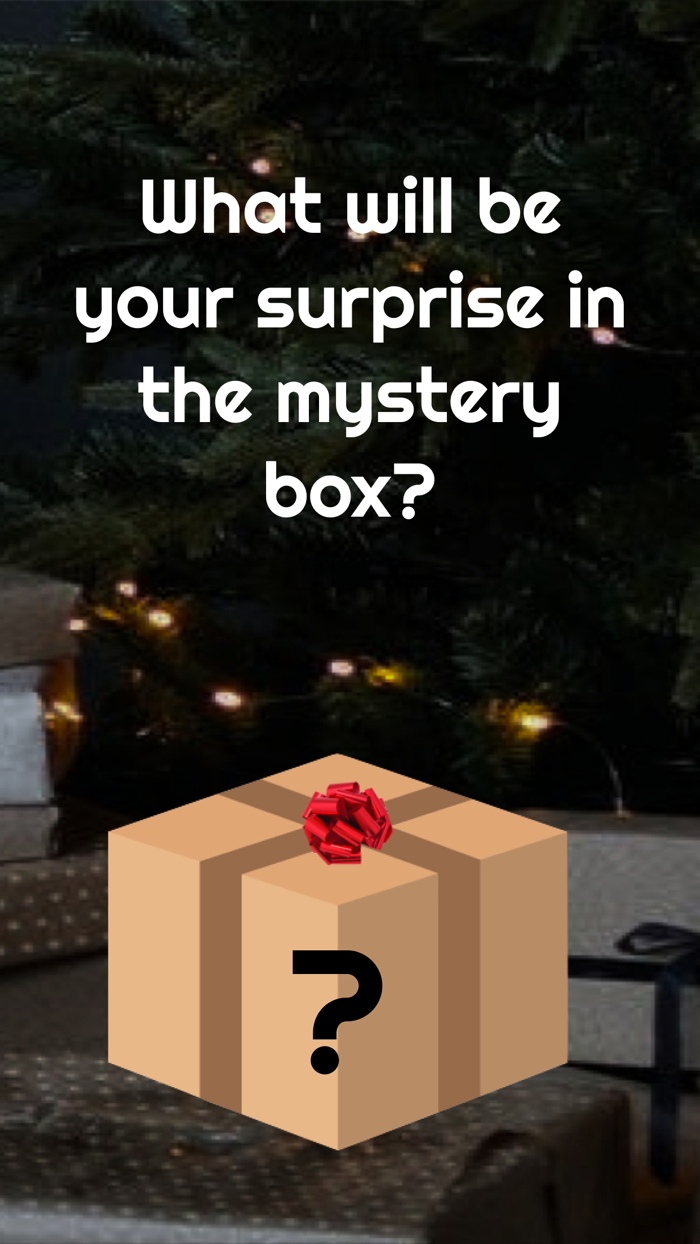 Christmas Mystery Box
