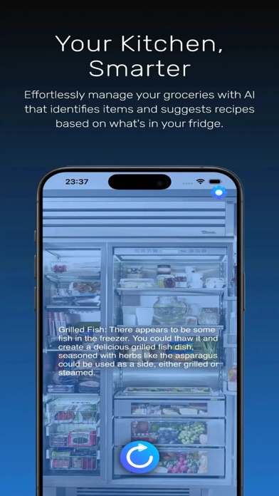 AI Eyes: Vision AI Chat Screenshot
