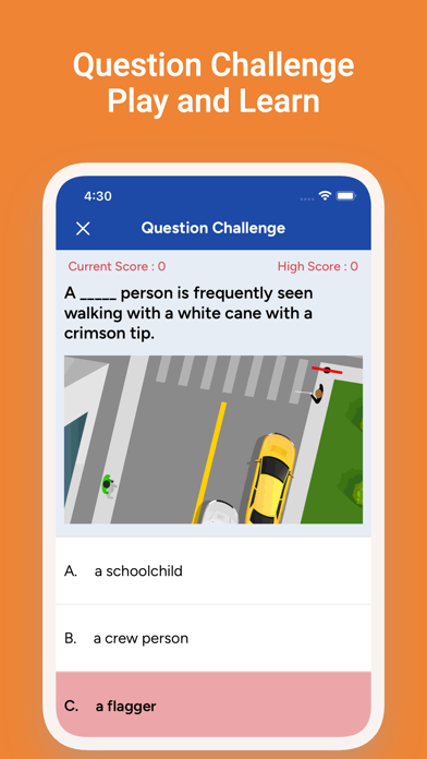 VA DMV Driver's License Test Screenshot