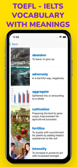 Game screenshot New Vocabulary Builder Vocab apk