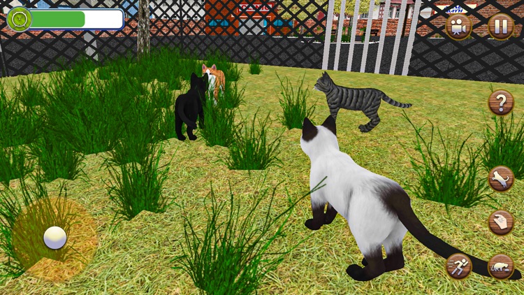 Animal Shelter Pet Cat Games