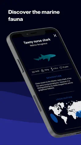 Game screenshot SeaScan Blankenberge hack