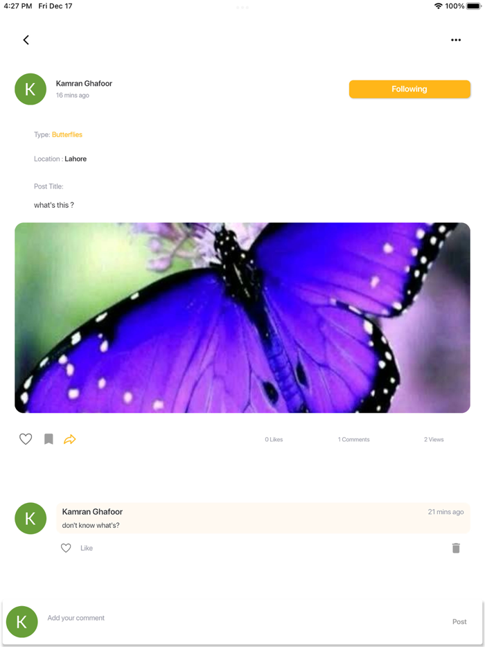 Insect photo Identifier AI