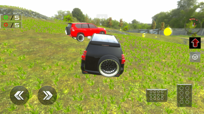 Crazy 4x4 Prado Offroad 2024 Screenshot