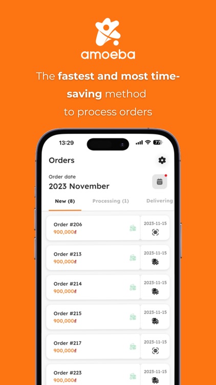amoeba Order