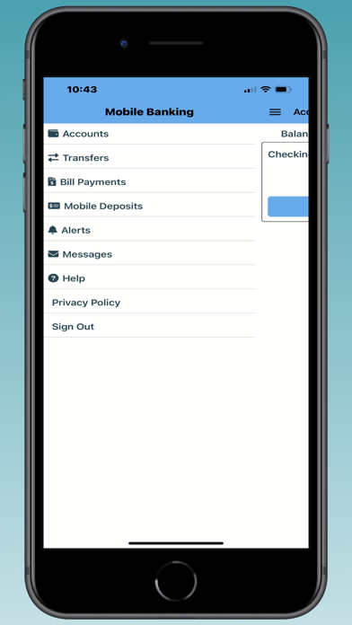Avana Bank Screenshot