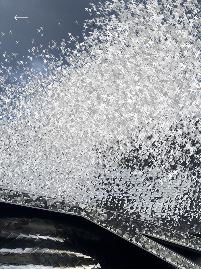 Les oiseaux de la Philharmonie