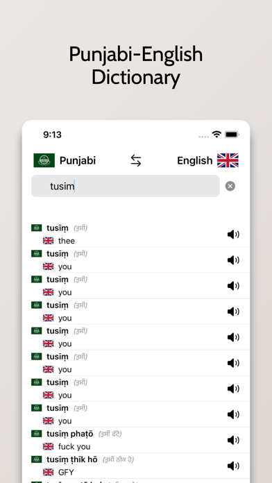 Punjabi/English Dictionary Screenshot