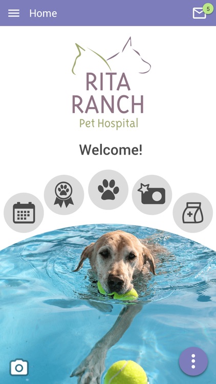 Rita Ranch Pets