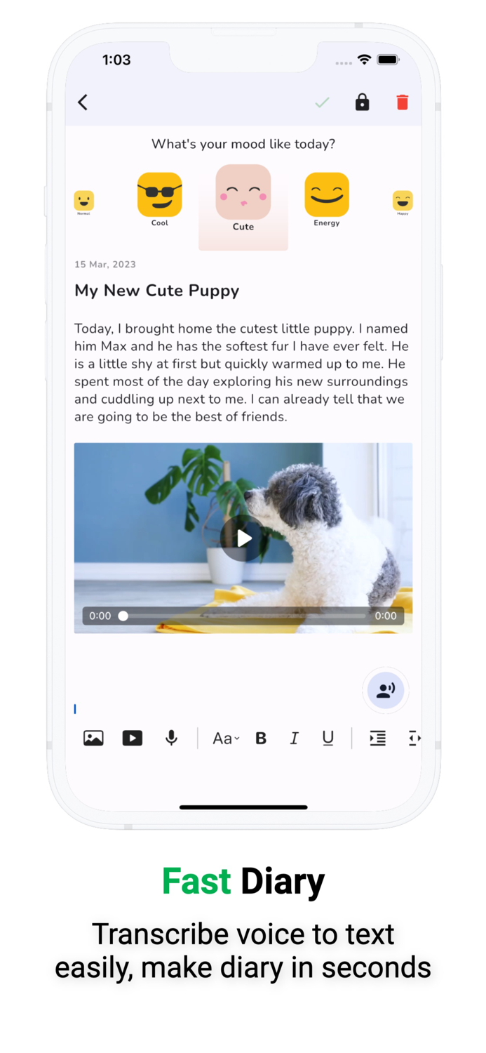 Diary with Lock Daily Journal