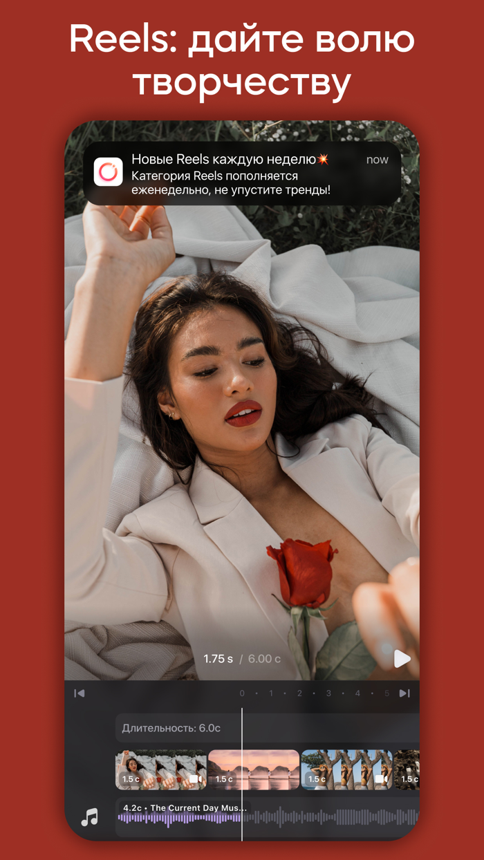 Инсторис Редактор Видео