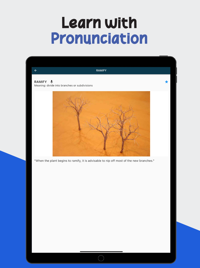 Gre Vocabulary Test Prep 3500