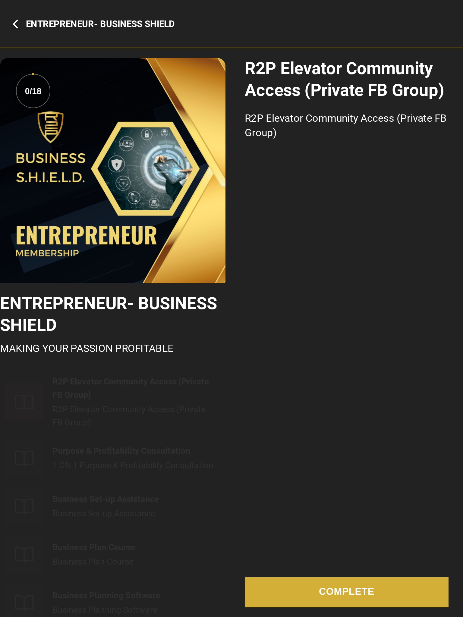 Business S.H.I.E.L.D. screenshot 4