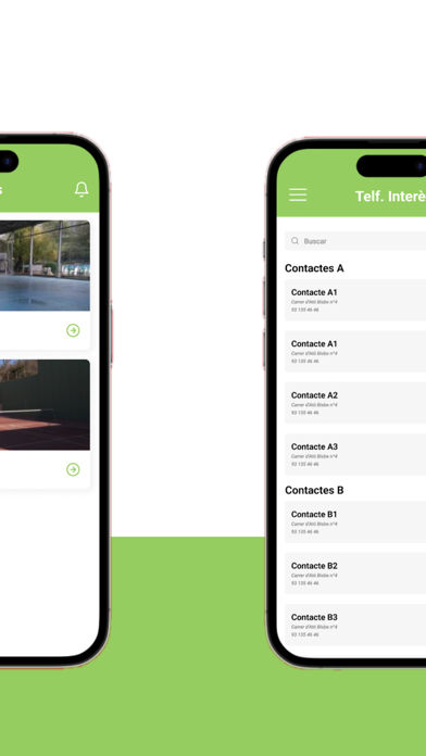 Ajuntament de Les Preses Screenshot