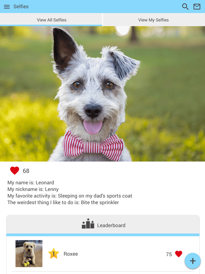 Willis Animal Hospital