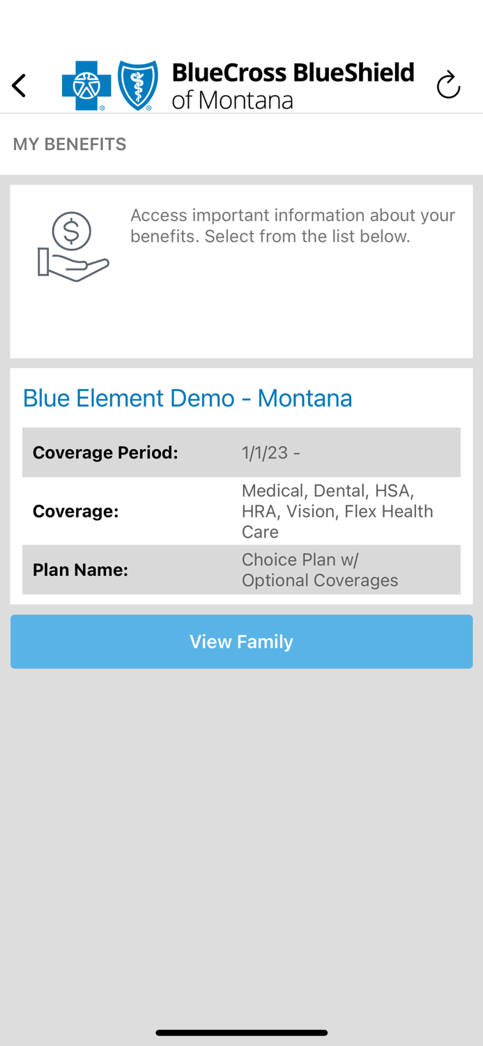Blue Element MT Mobile