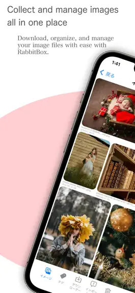 Game screenshot RabbitBox - Image Organizer mod apk