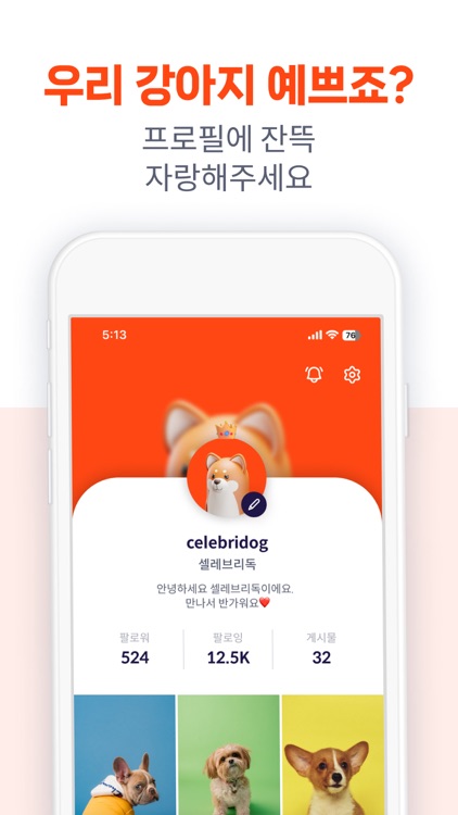 셀레브리독 screenshot-6
