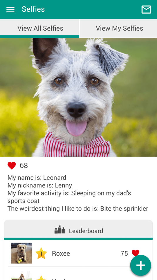 #4. Excelsior AH (iOS) 来自: Lakefield Veterinary Group, Inc.