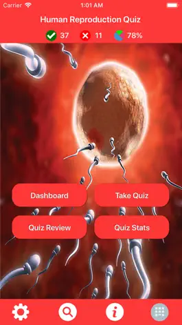 Game screenshot Human Reproduction Quizzes mod apk
