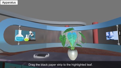 Screenshot #3 pour Light necessary Photosynthesis