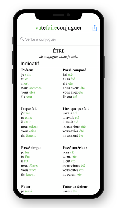 French Conjugation. Screenshot