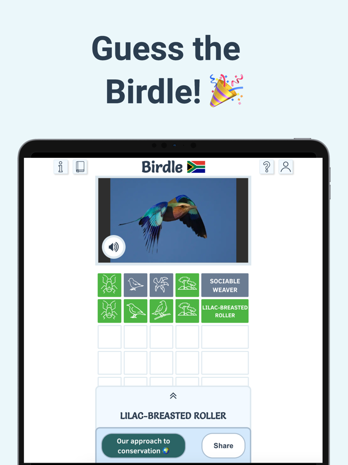 Birdle - A Daily Guessing Game