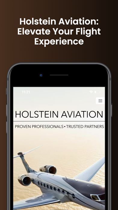 Holstein Aviation Screenshot
