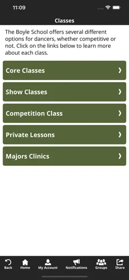 Game screenshot Boyle School of Irish Dance hack