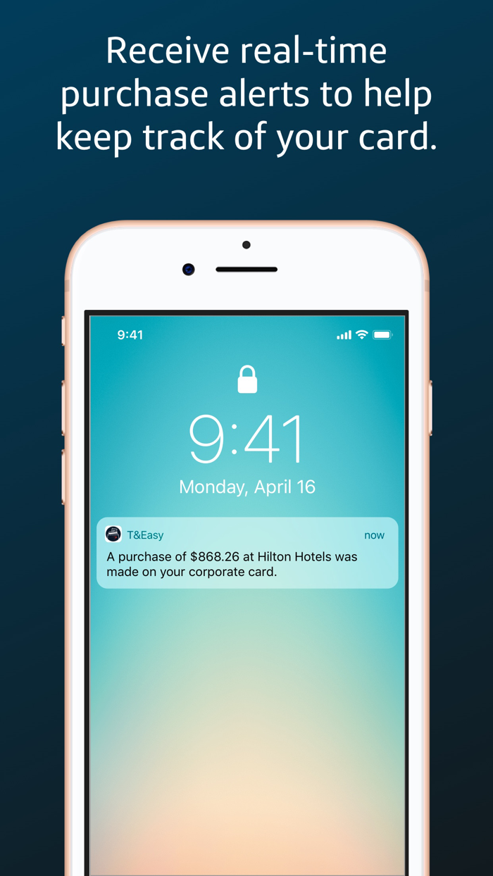 Capital One TandEasy