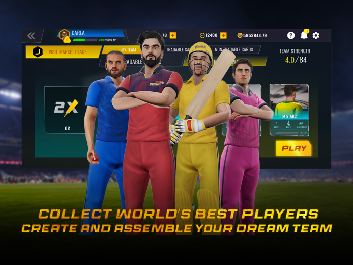 Meta Cricket League - NFT Game
