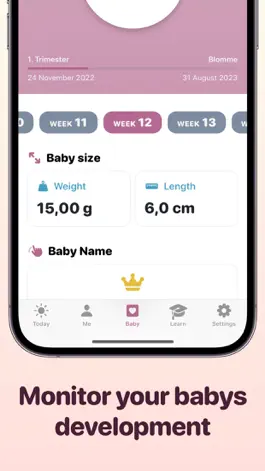 Game screenshot Preggy - Pregnancy Tracker hack