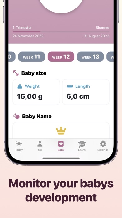 Screenshot #3 pour Pregnancy Tracker Countdown