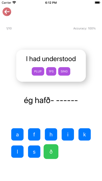 Icelandic Verb Blitz Screenshot