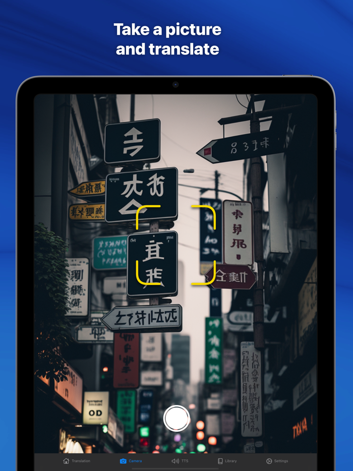 Translate Professional