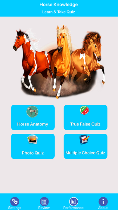 Screenshot #1 pour Learn Horse Knowledge